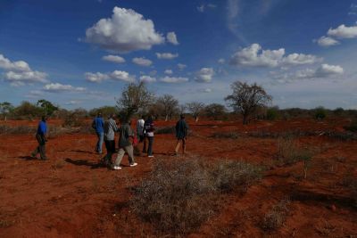 Kenia Makueni het is een droog gebied, watervoorziening voor de bijen is dan belangrijk